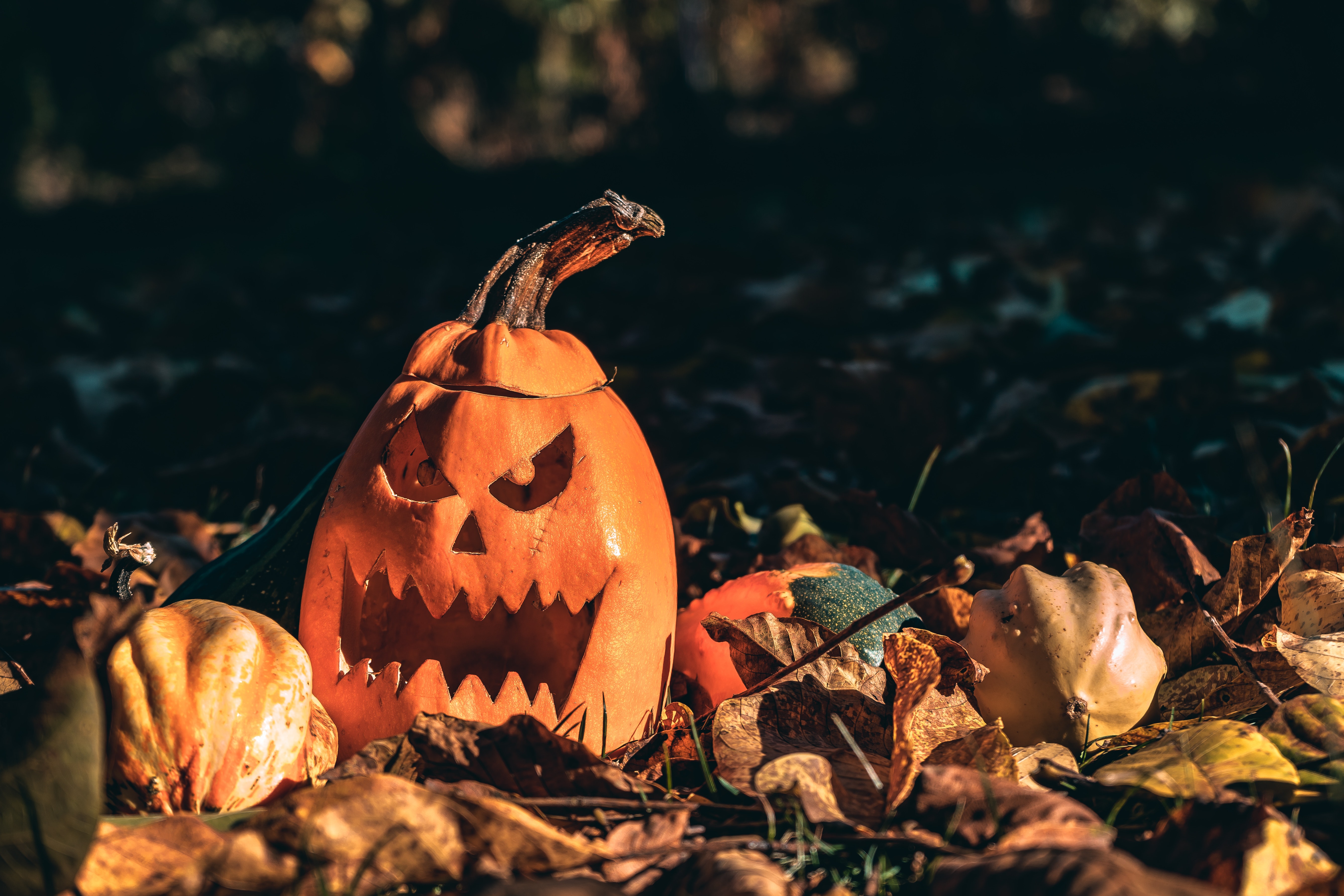 Halloween