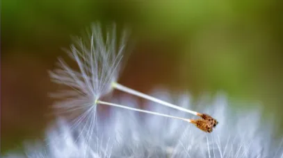 Seeds of a planetary future