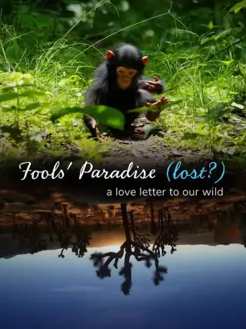 Documentary poster showing a monkey with text "Fools' Paradise (lost?) a love letter to our wild."