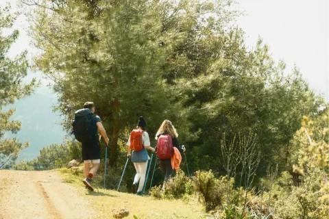 students hiking